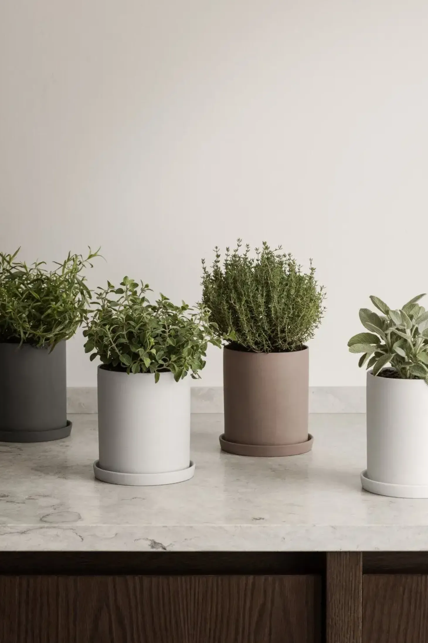 Blomus - Herb Pot - White - NONA
