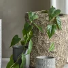 Bloomingville - Anthurium Kunstig Plante - Grøn, Plastik, 117 cm