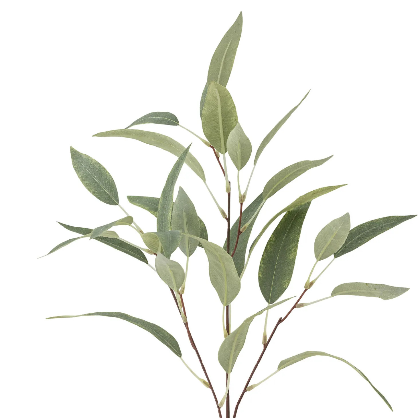Bloomingville - Eucalyptus Kunstig stilk - Grøn