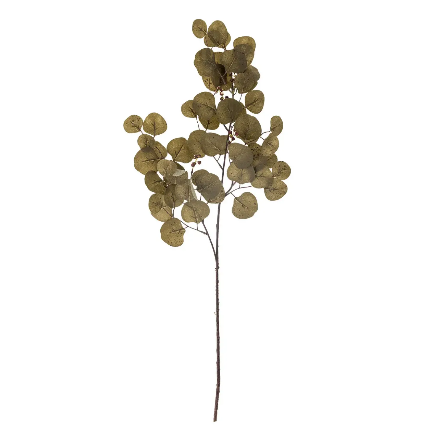 Bloomingville - Eucalyptus Kunstig stilk - Brun, Plastik