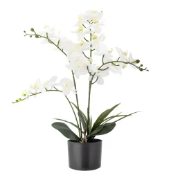 Bloomingville - Orchid Kunstig Plante