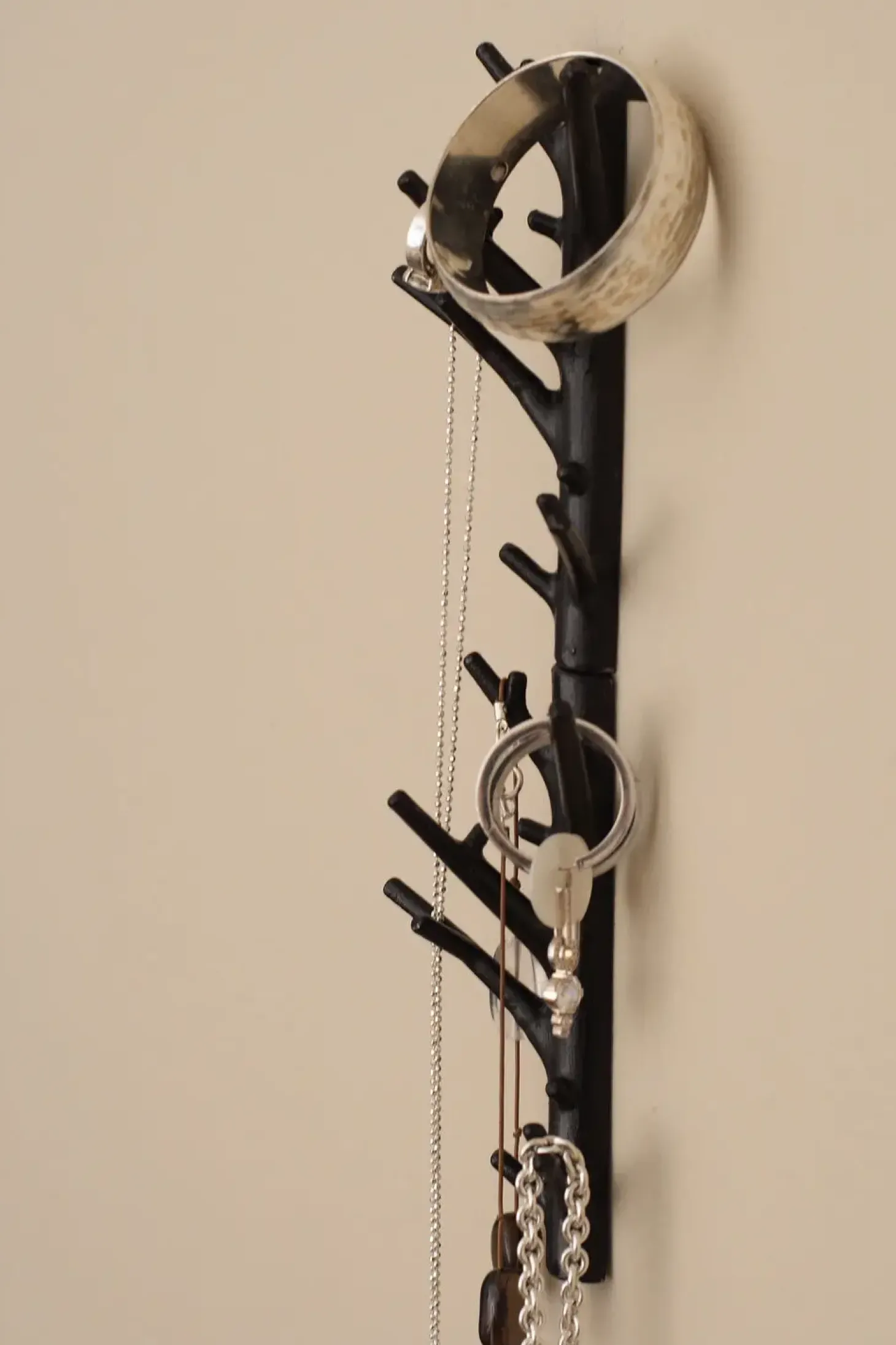 Bosign - knage - Branch - medium - sortbrun