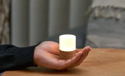Gingko - Lemelia Light - White Ash - Mini - 6x4 cm