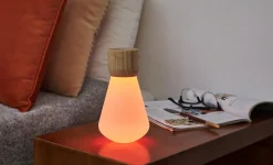 Gingko - Pentagon Light bulb Lamp Mini White Ash Wood