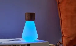 Gingko - Pentagon Light bulb Lamp Mini Natural Walnut Wood