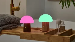 Gingko - Super Mini Alice Mushroom Lamp - Walnut
