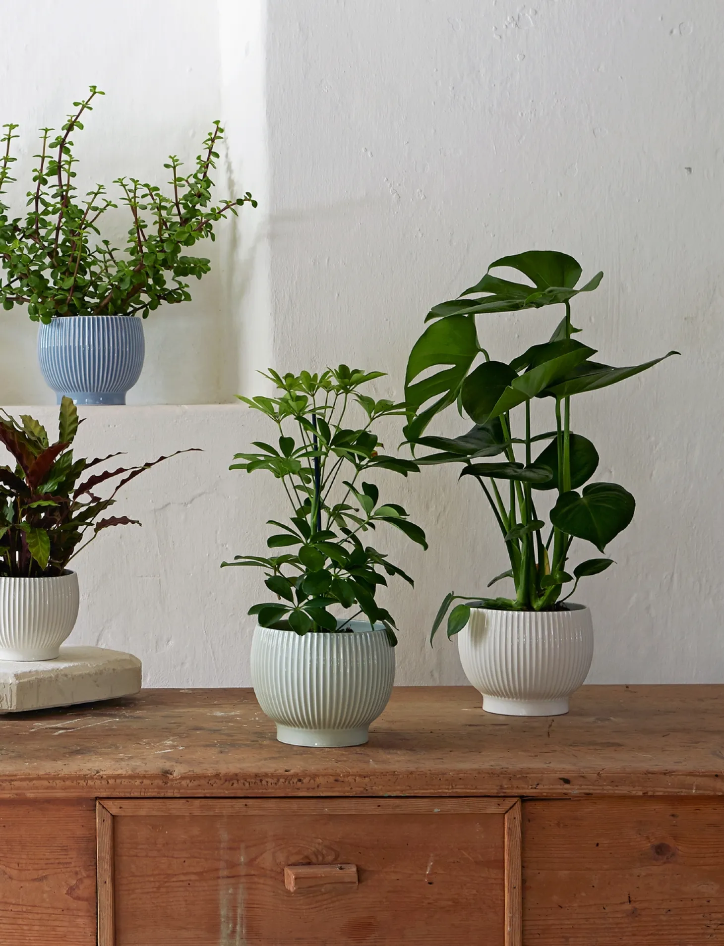 Knabstrup Keramik - urtepotteskjuler Ø 18 cm ripple mint