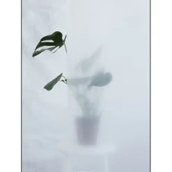 Kristina Dam - Split-leaf I - poster 50x70 cm