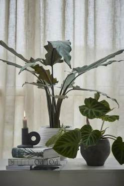 Lene Bjerre - Catharinia skjuler H16,5 cm. råhvid