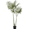 Lene Bjerre - Flora kentia palme H185 cm. grøn