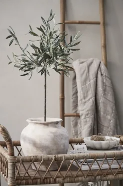 Lene Bjerre - Oliventræ Flora - 73 cm.