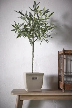 Lene Bjerre - Oliventræ Flora - 73 cm.