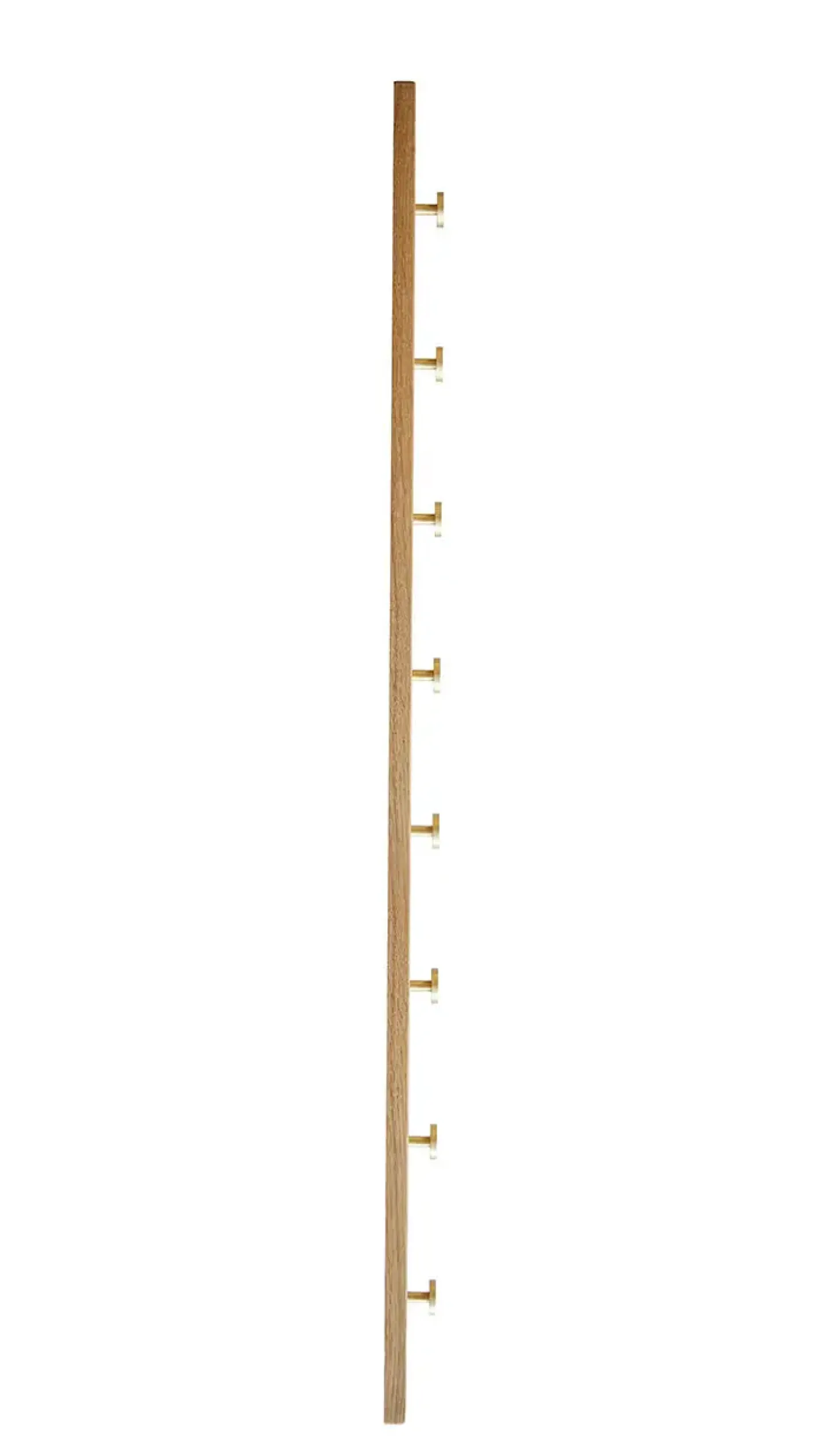 Moudhome - OAK Knagerække Egetræ Med Messing Knager - 100 cm