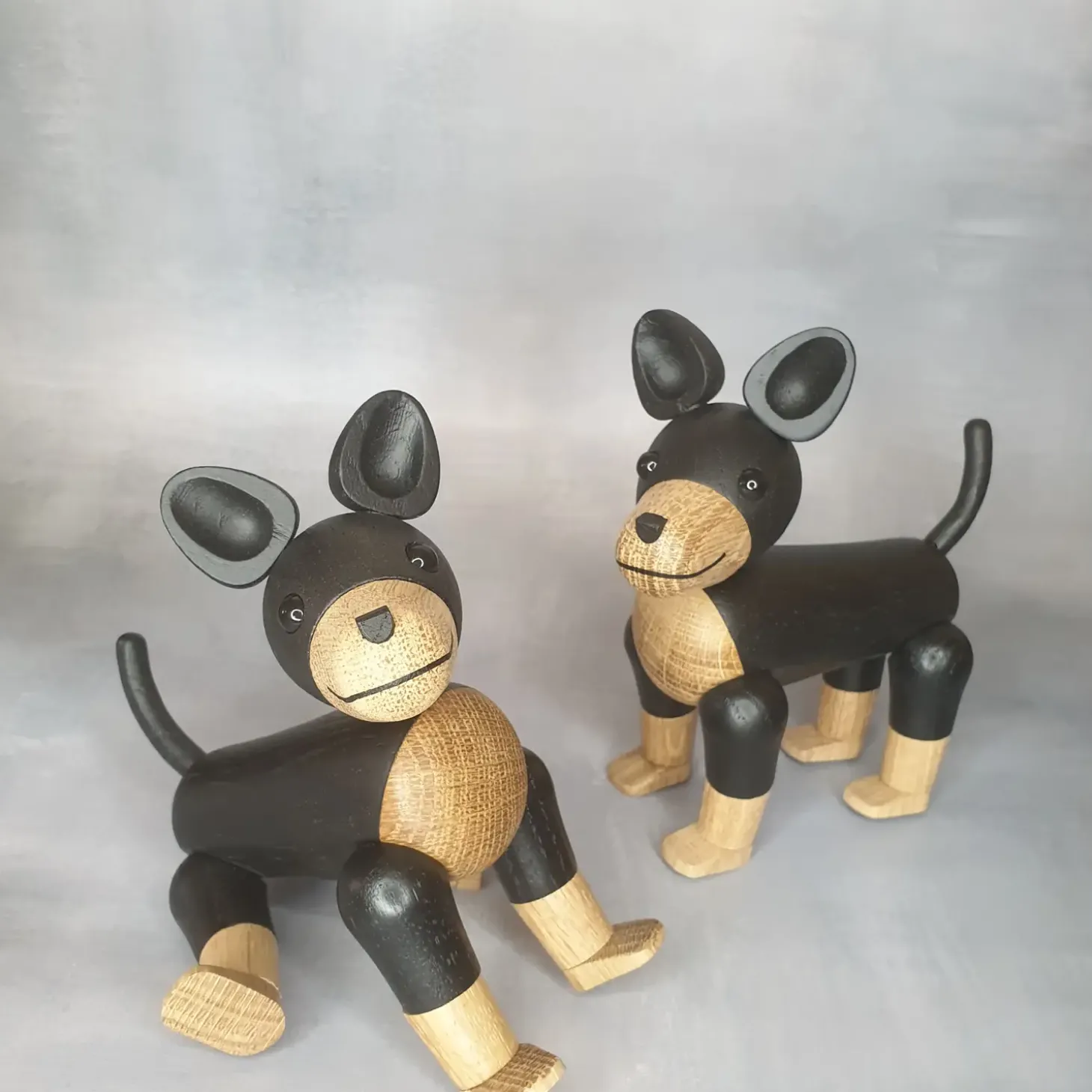 NovoForm - Hund - Charlie The Dog