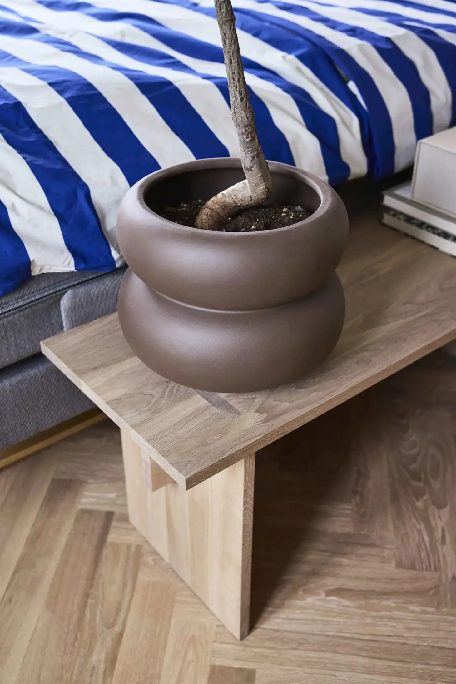 Oyoy - Plantekrukke - Kupla - Large - Brun