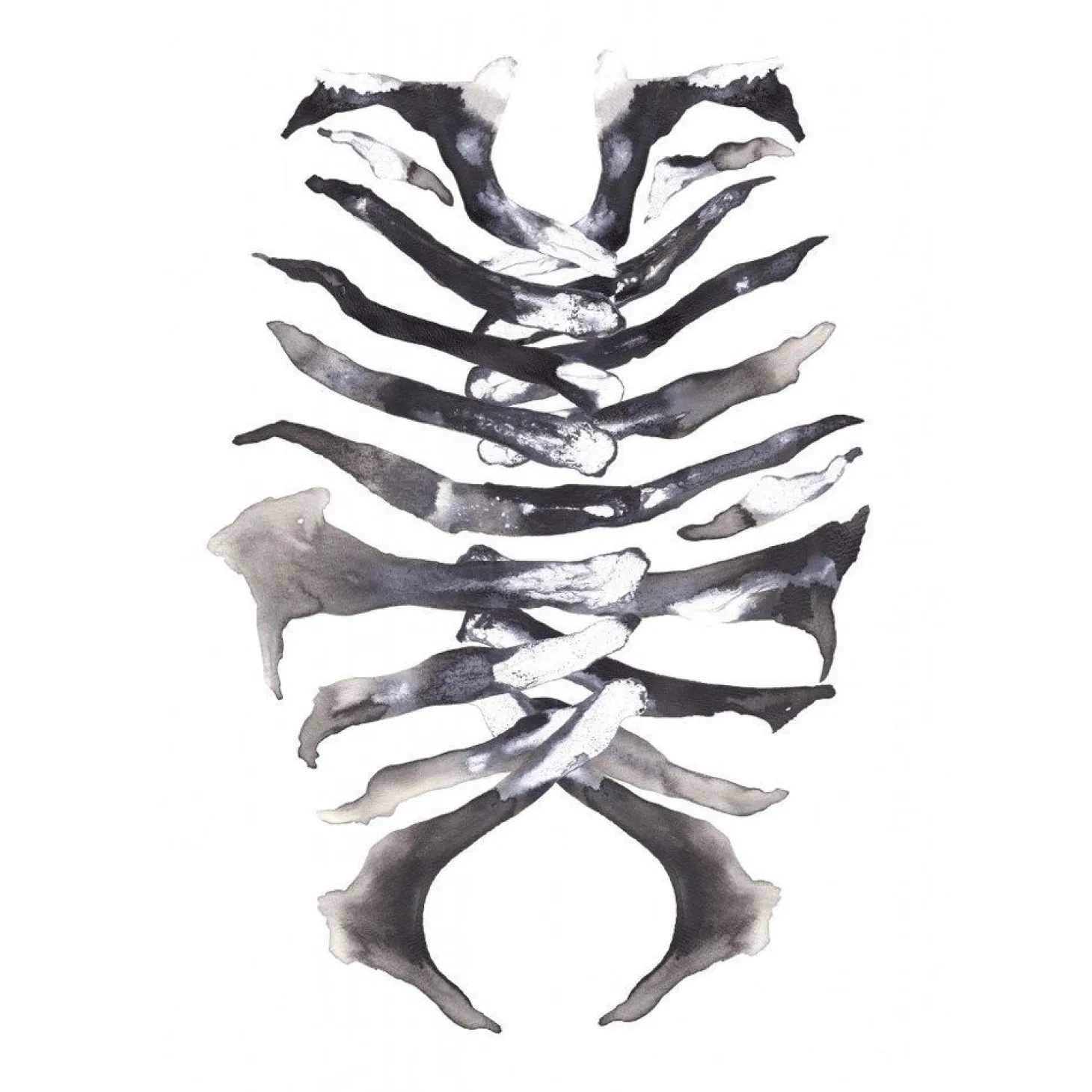 Paradisco Production illustration - ARMOUR A3