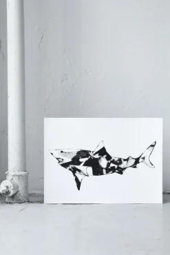 Paradisco Productions illustration - Shark Superior plakat (A3)