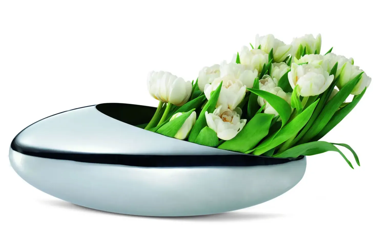 Philippi - Cocoon champagne cooler + tulip vase