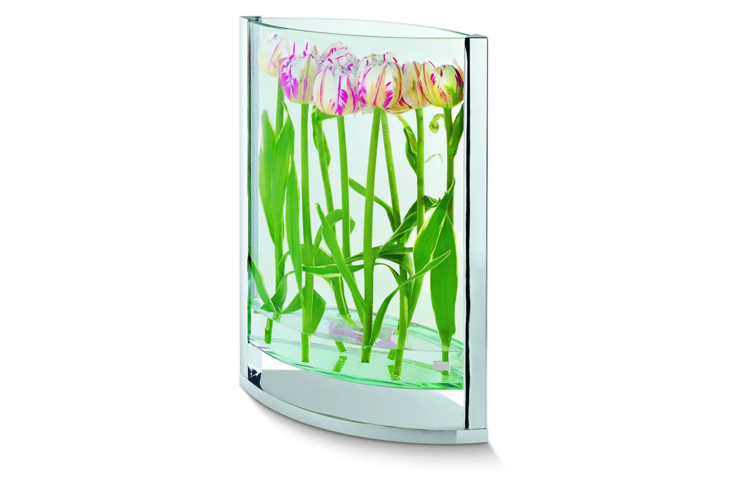 Philippi - Decade vase S