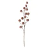 Present time - Artificial flower Poppy Berry brown