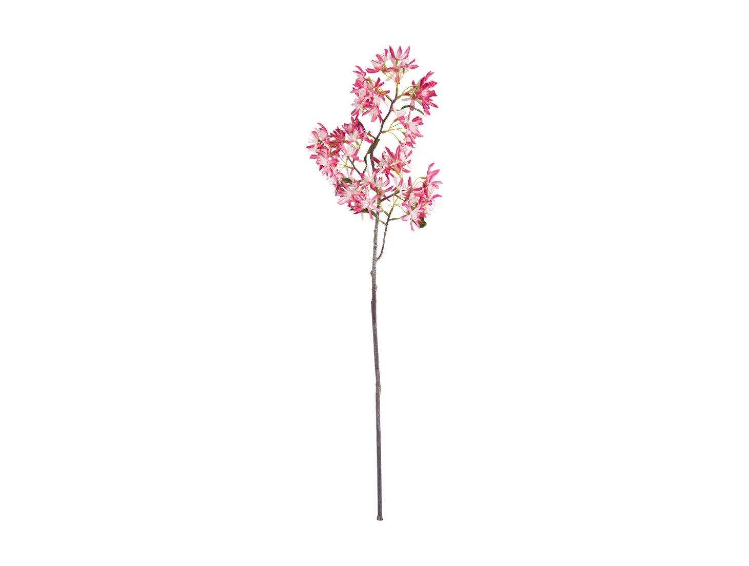 Present time - Artificial flower Milan Flowers bright pink