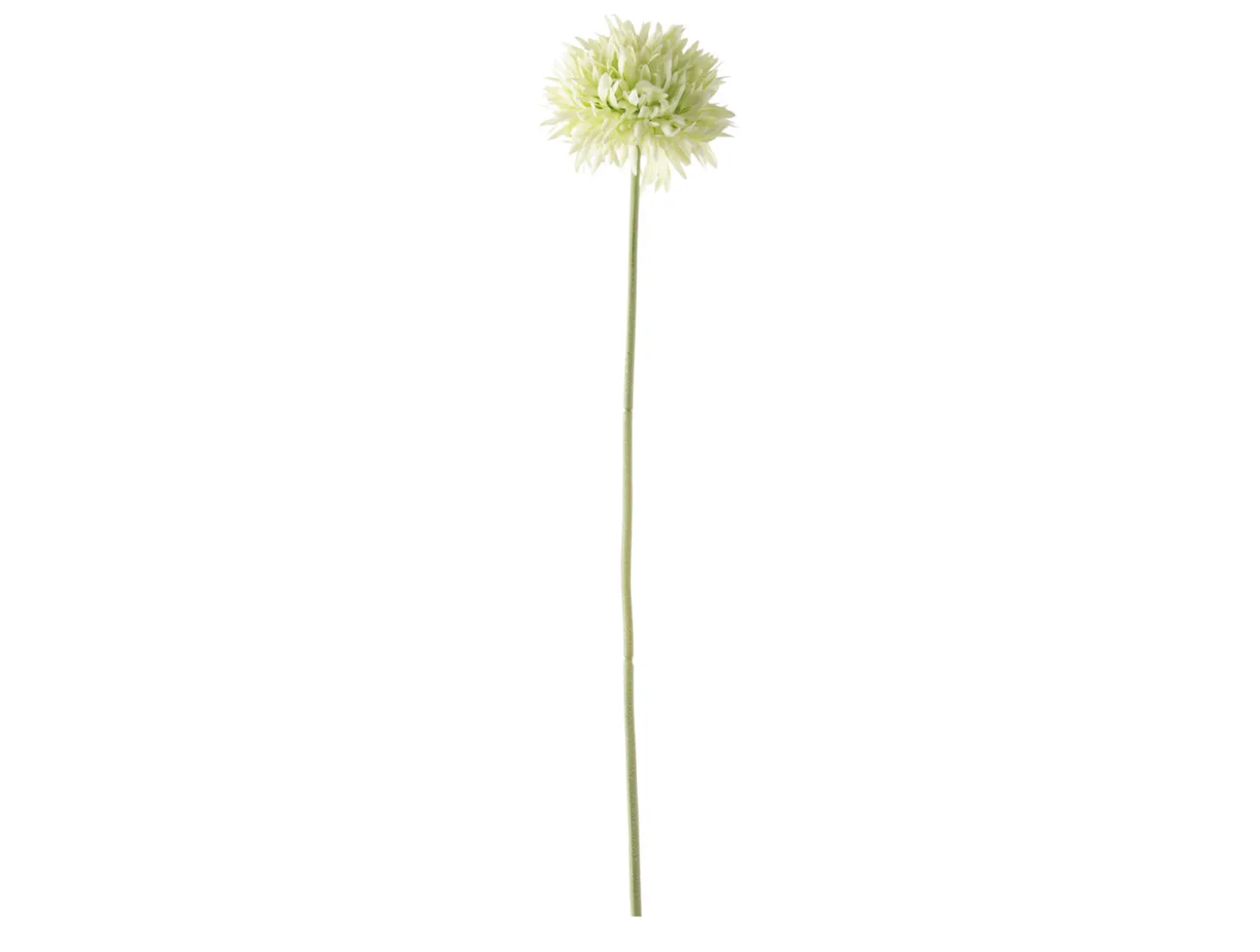 Present time - Artificial flower Single Spring soft green