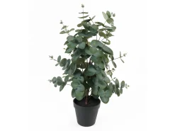 Present time - Artificial plant Eucalyptus Leaf