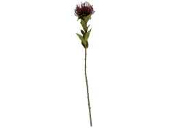 Present time - Artificial plant Protea Flower small burgundy red