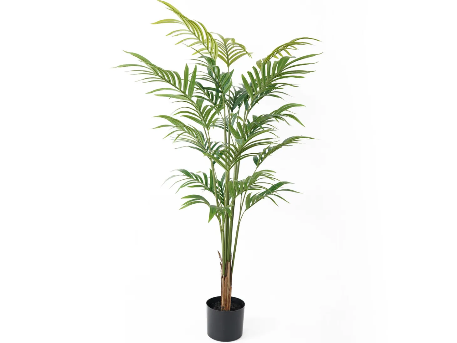 Present time - Artificial plant Palm Tree