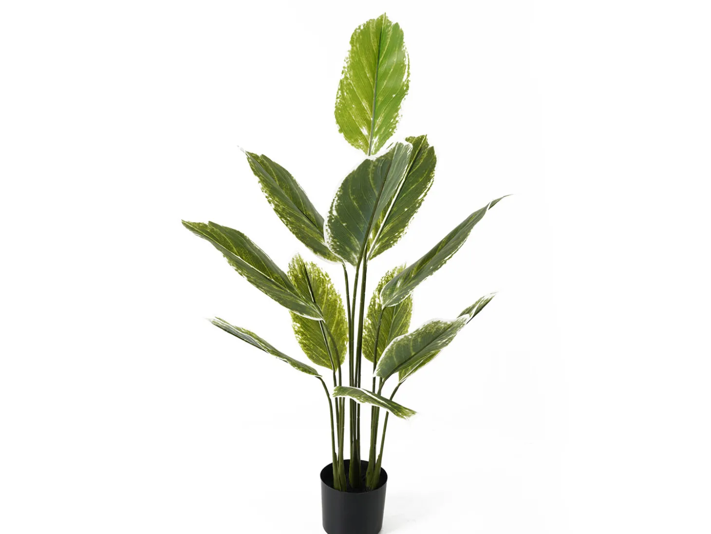 Present time - Artificial plant Calathea large