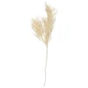 Present time - Artificial plant Asparagus Fern Stem white