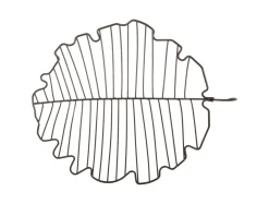 Present time - Fruit basket Leaf large iron black