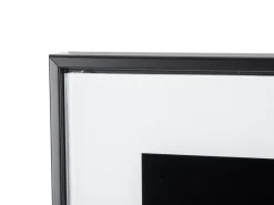 Present time - Photo art Lion glass black & white