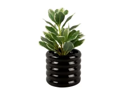 Present time - Plant Pot Bobbly Glazed ceramic small black