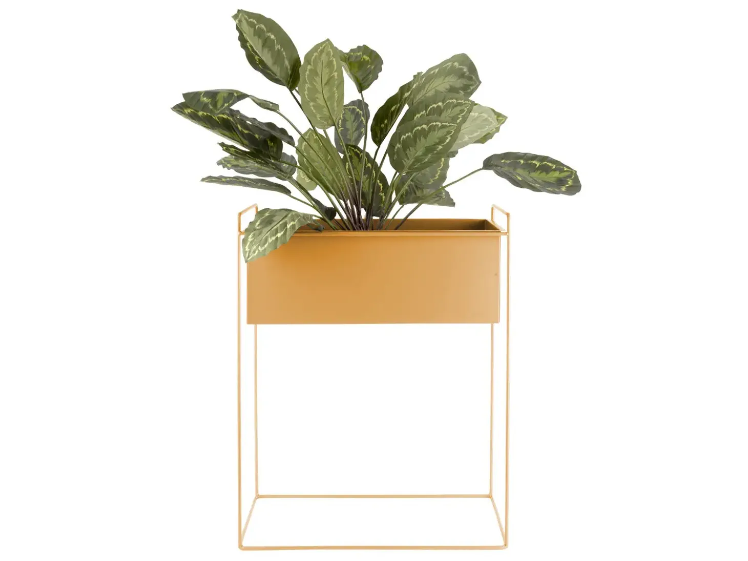Present time - Plant pot set Essence straight iron ochre yellow