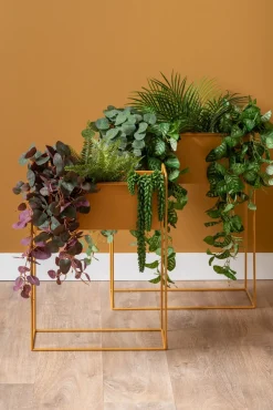 Present time - Plant pot set Essence straight iron ochre yellow