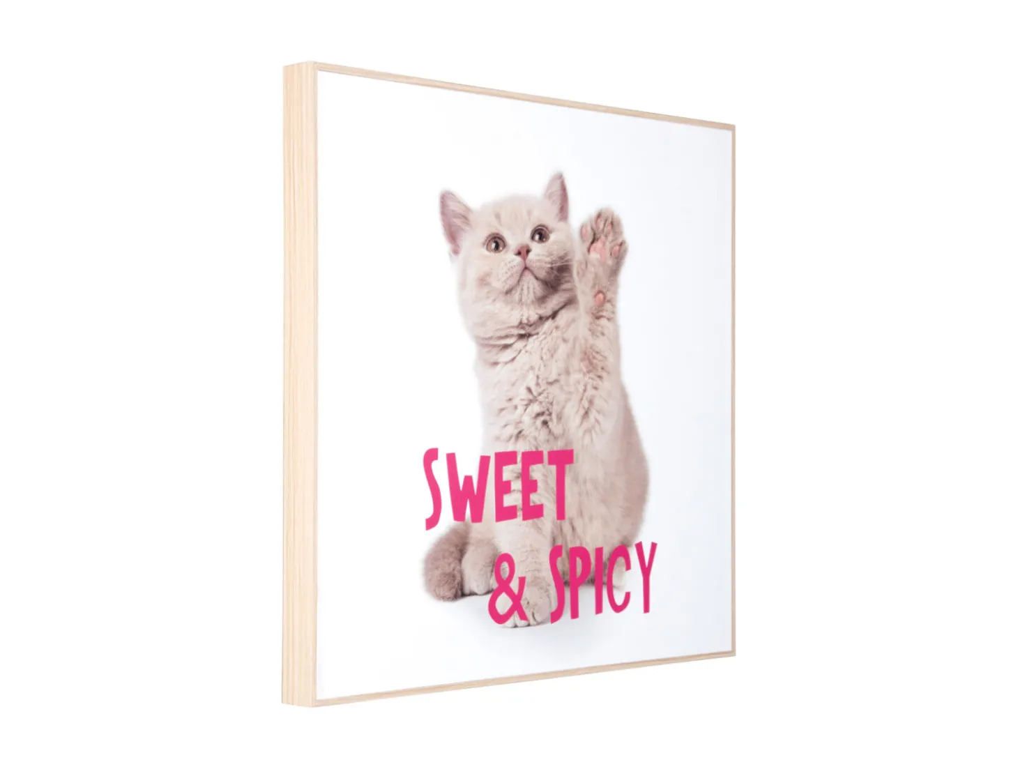 Present time - Wall art kitten Sweet & Spicy bright pink