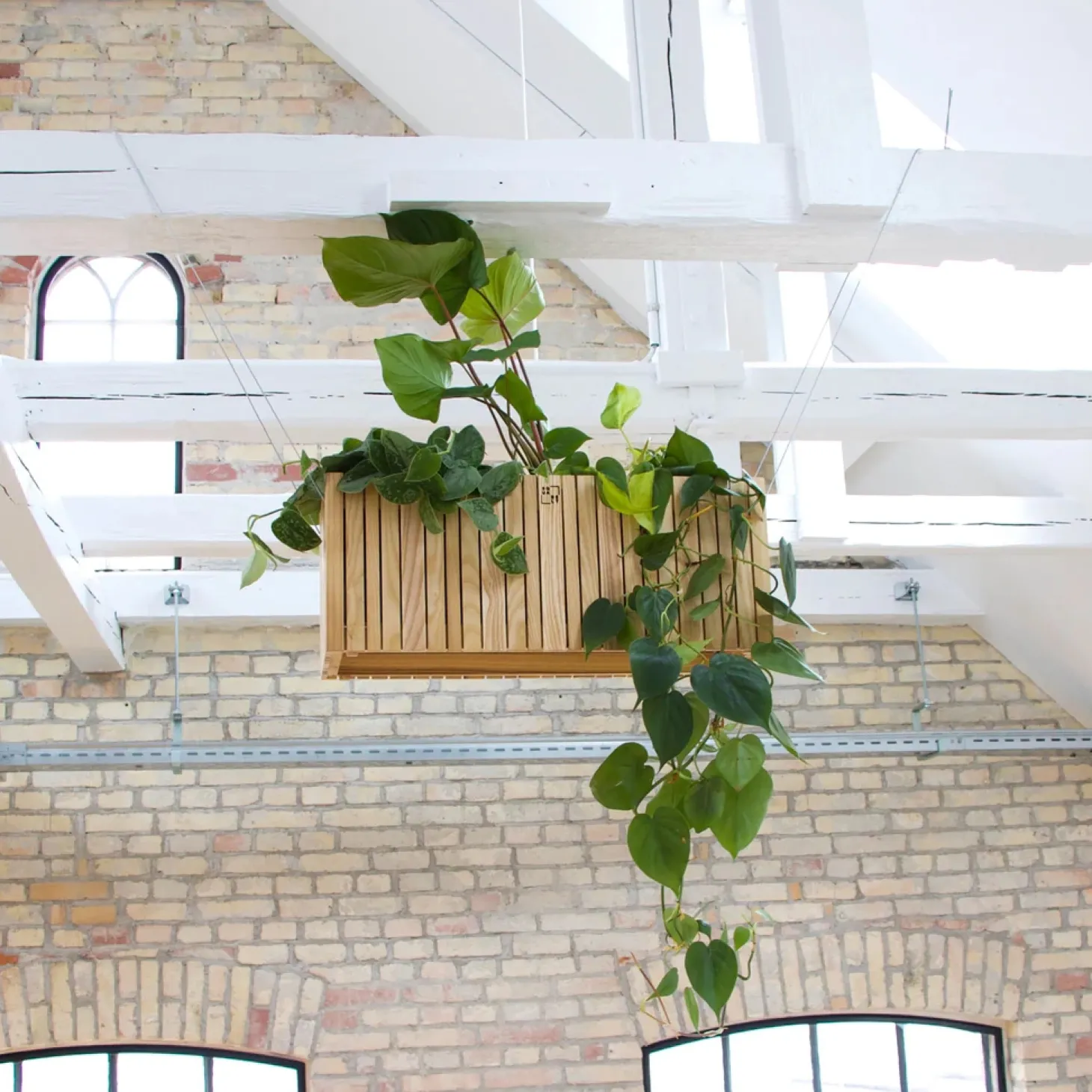 SQUARELY COPENHAGEN - Plantekasse - GrowWIDE - Ask Natur