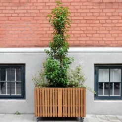 SQUARELY COPENHAGEN - Plantekasse - GrowLARGE - Mørk Eg - 90x45x52cm