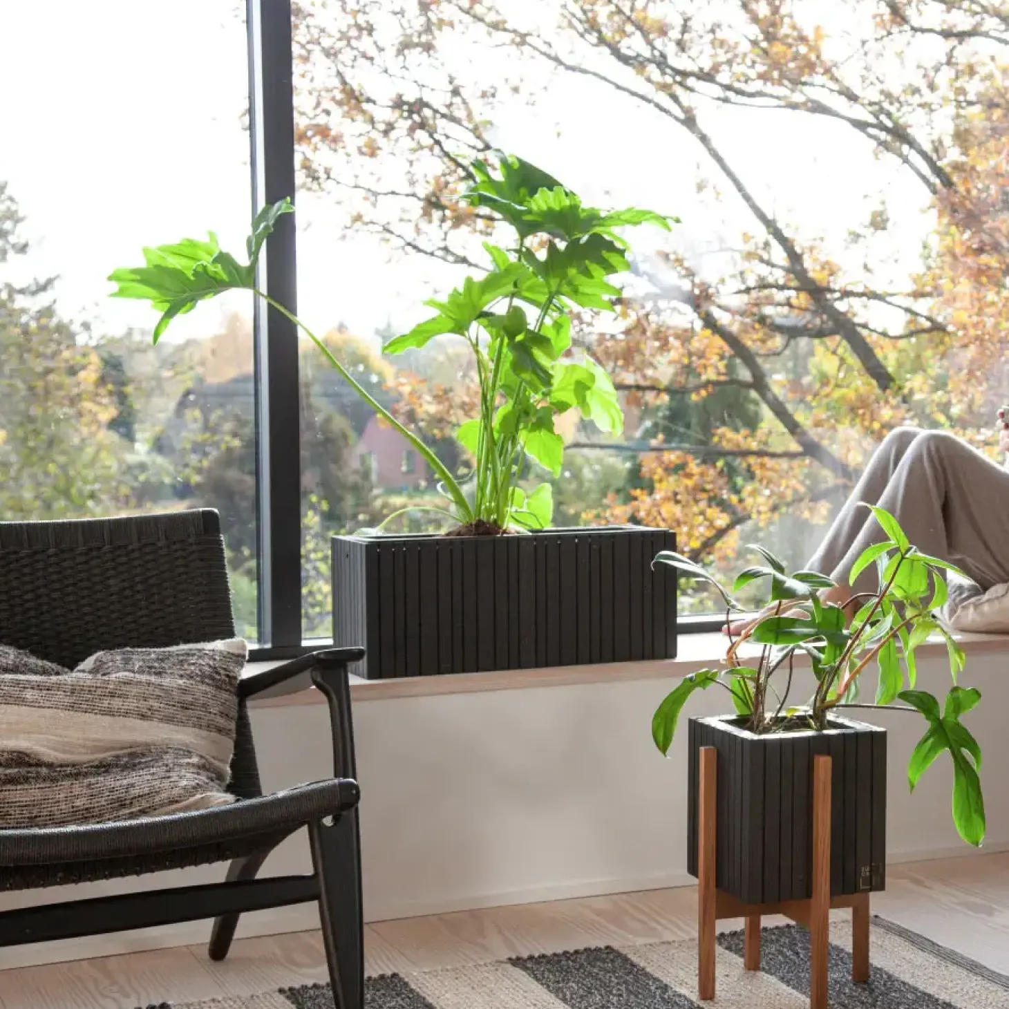 SQUARELY COPENHAGEN - Plantekasse - GrowWIDE - Sort Ask