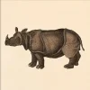 The Dybdahl - Plakat - Rhino, Mini Print - 15x15 cm