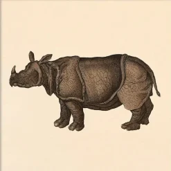 The Dybdahl - Plakat - Rhino, Mini Print - 15x15 cm