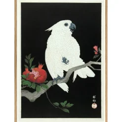 The Dybdahl - Plakat 30x40 cm. - Cockatoo & Pomegranate - Papir