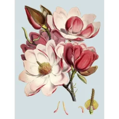 The Dybdahl - Plakat 50x70 cm - Pink Flower - Papir