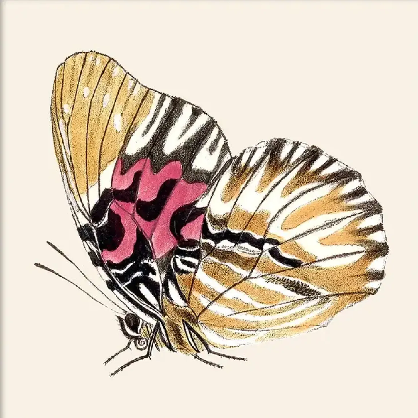 The Dybdahl - Plakat - Yellow Butterfly. Mini Print - 15x15 cm