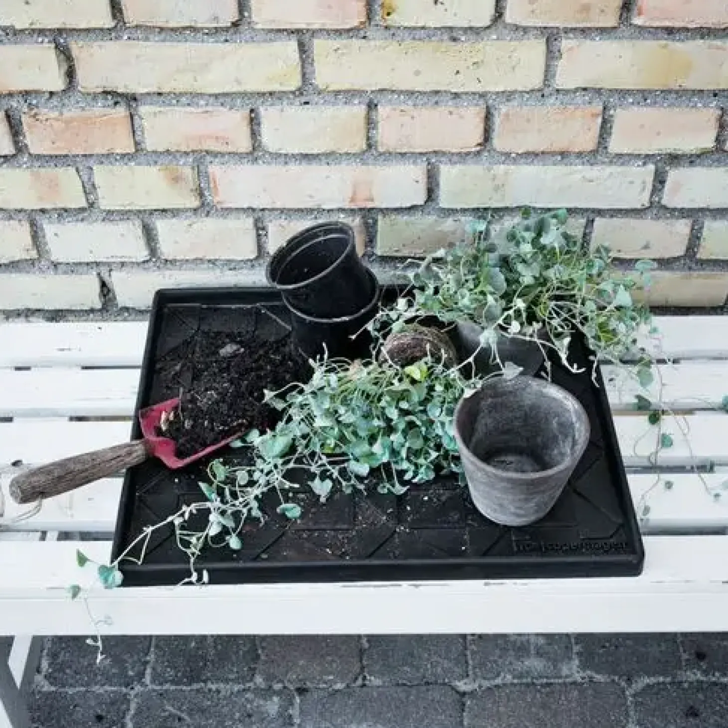 Tica Copenhagen - Skobakke - Lines design - Medium