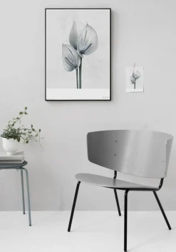 ViSSEVASSE - Plakat Botanica Anthurium Andraeanum - (50x70 cm)