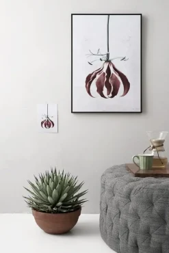 VISSEVASSE plakat - Botanica Gloriosa Superba 50x70